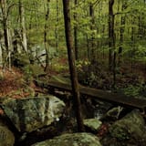 Devil's Den Preserve Trail, Connecticut - 590 Reviews, Map | AllTrails
