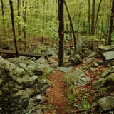 Devil's Den Preserve Trail, Connecticut - 590 Reviews, Map | AllTrails