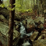 Devil's Den Preserve Trail, Connecticut - 590 Reviews, Map | AllTrails