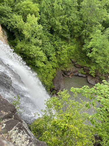 Best Hikes And Trails In Toccoa Falls 