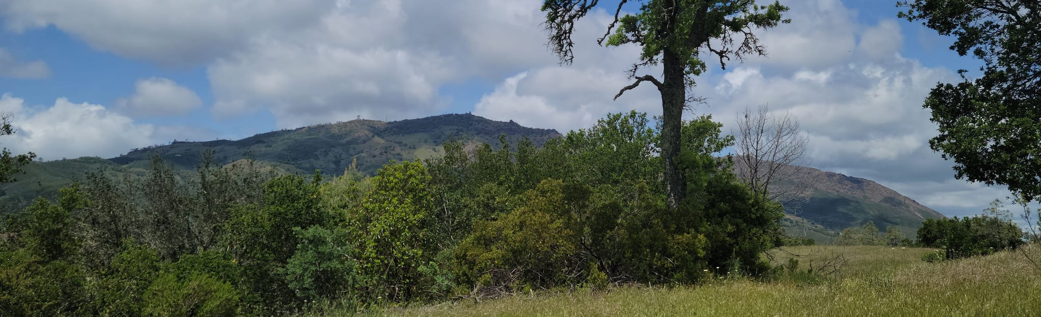 Knob Point via Finley Road, California 138 Reviews, Map AllTrails