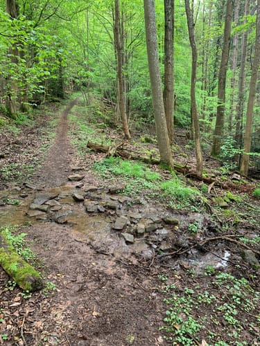 Erlebnispfad Klebweg