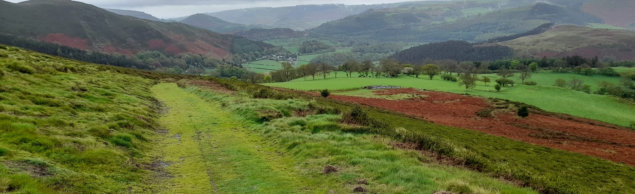 Rhewl Trail Circular Walk 37 Fotos Denbighshire, Wales AllTrails