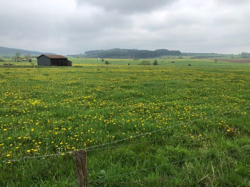 Medebacher Bergweg Etappe 1: Medebach - Medelon