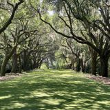 Charles Towne Landing State Historic Site Trail, South Carolina - 257 ...