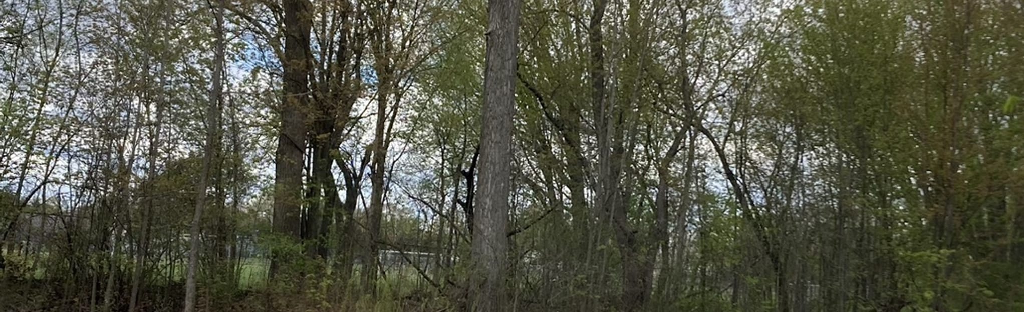 Tenhave Woods Nature Trail, Michigan 105 Reviews, Map AllTrails