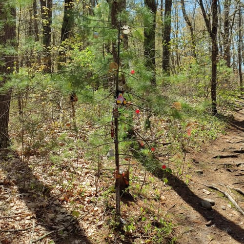 Best Hikes and Trails in Trout Brook Conservation Area AllTrails