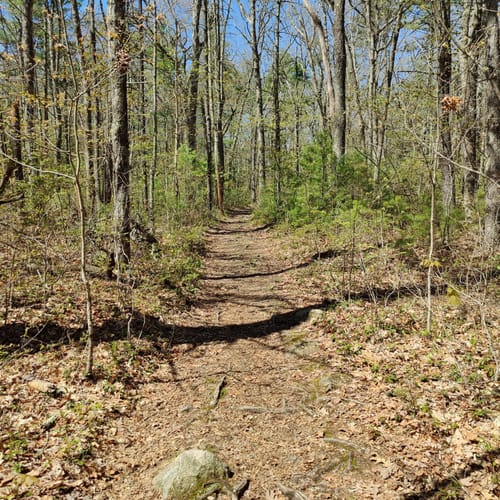 Best Hikes and Trails in Trout Brook Conservation Area AllTrails