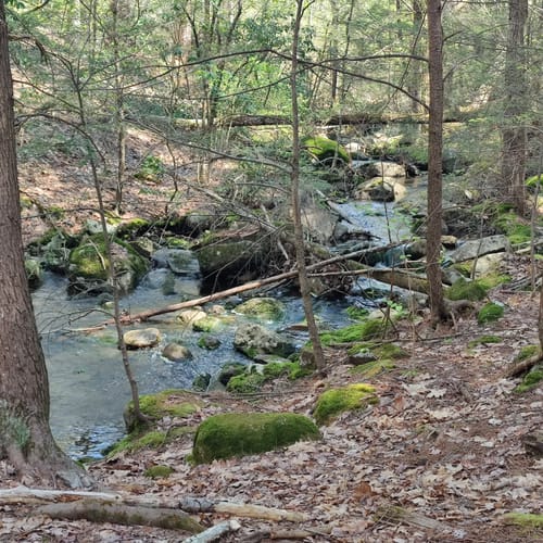 Best Hikes and Trails in Trout Brook Conservation Area AllTrails