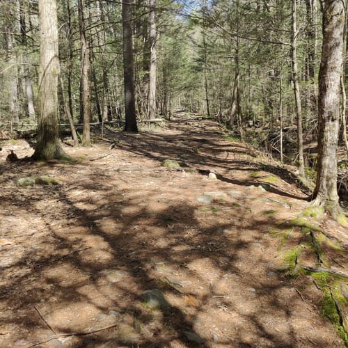 Best Hikes and Trails in Trout Brook Conservation Area AllTrails