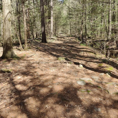 Best Hikes and Trails in Trout Brook Conservation Area AllTrails
