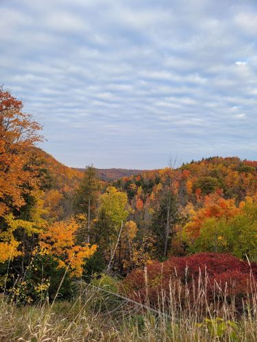 Best Hikes and Trails in Devil's Glen Provincial Park | AllTrails