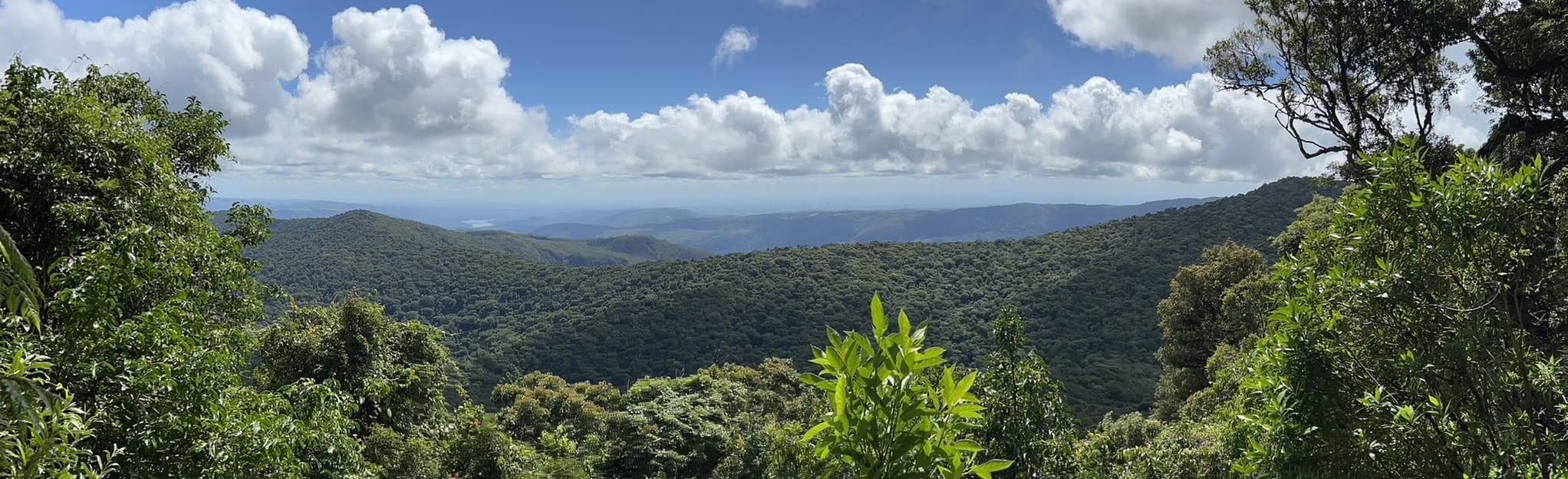 O'Reilly's to Binna Burra, Queensland, Australia 247 Reviews, Map