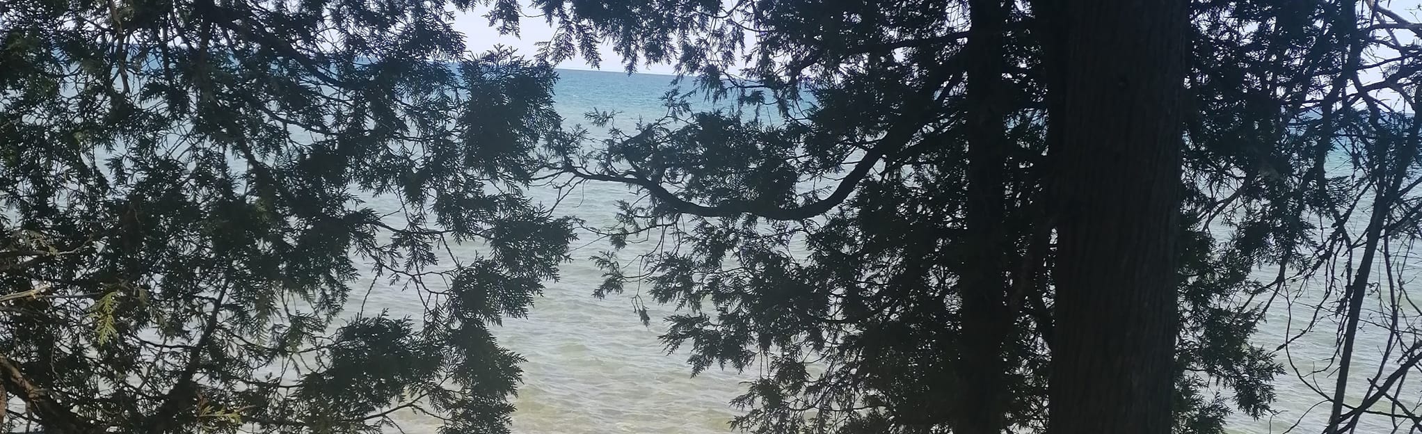 Lake Trail, Quarry Trail, and Turbine Pass Loop 88 Reviews, Map