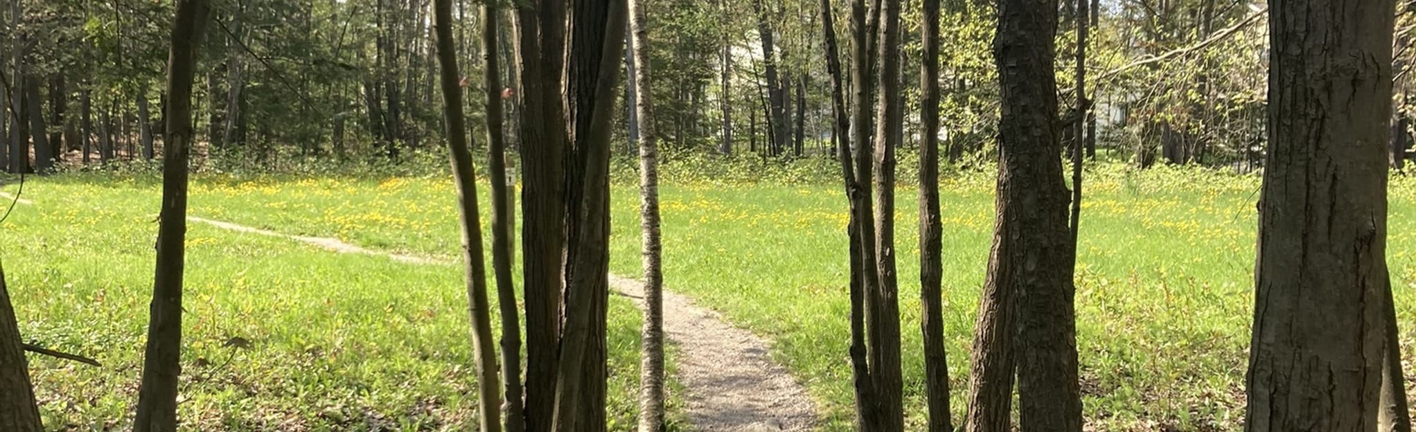Milliken Brook Trail and Harvard Street Path, Maine 66 Reviews, Map