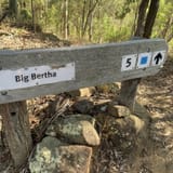 Wyaralong Dam Loop, Queensland, Australia - 87 Reviews, Map | AllTrails