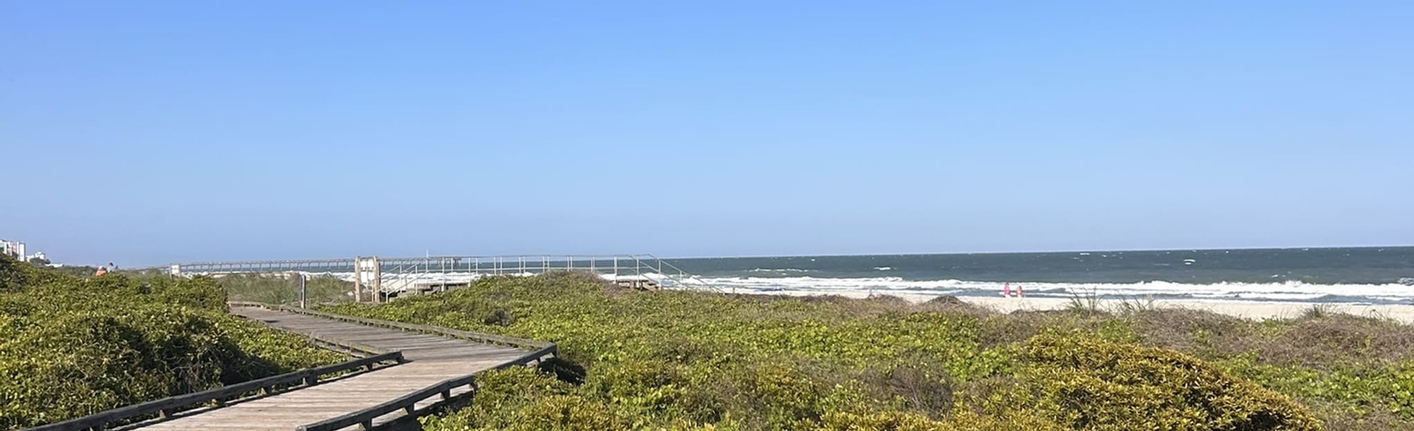 Yaupon, Sculptured Oak and Pond Trail , South Carolina 519 Reviews