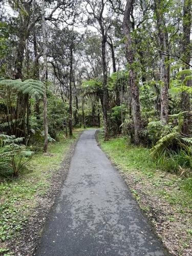 10 Best Trails and Hikes in Hilo