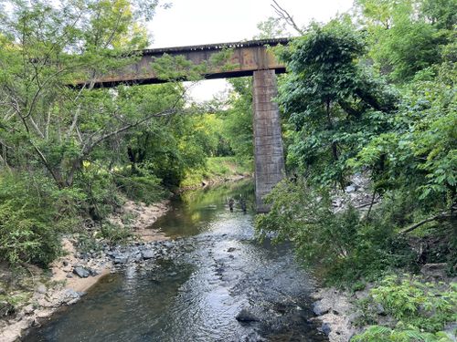 Best Hikes and Trails in McAlpine Creek Park | AllTrails