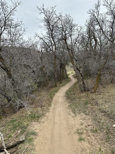2023 Best Moderate Trails in Ridgeline Open Space | AllTrails
