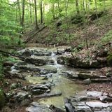 Adventure Hiking Trail, Indiana - 543 Reviews, Map | AllTrails