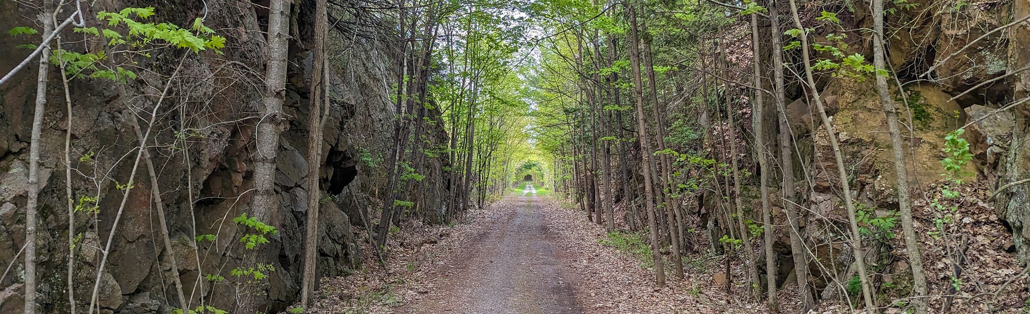 AllTrails Rideau Canal Paddle Newboro to Jones Falls 3 Reviews, Map