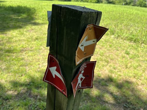 Photos of Griggstown Native Grassland Preserve Loop - New Jersey | AllTrails