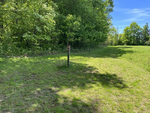 Photos of Griggstown Native Grassland Preserve Loop - New Jersey | AllTrails
