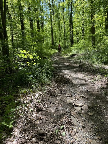 Photos of Griggstown Native Grassland Preserve Loop - New Jersey | AllTrails
