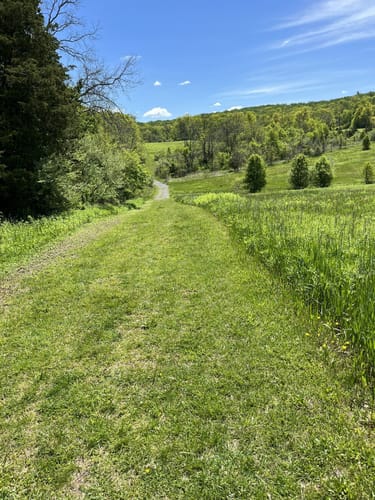 Photos of Griggstown Native Grassland Preserve Loop - New Jersey | AllTrails