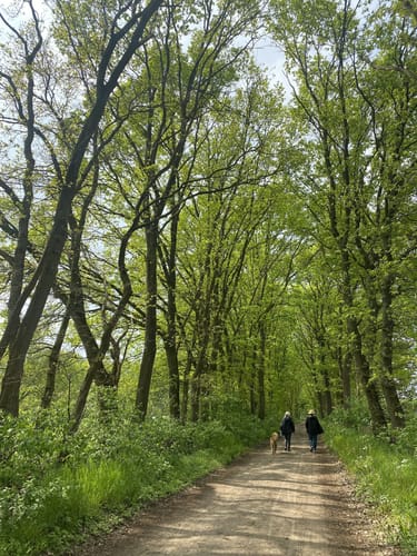 Handorf - Ilmenau Runde