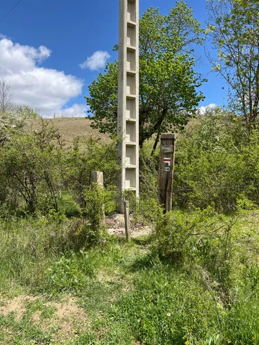 2023 Best Forest Trails in Nahuja AllTrails