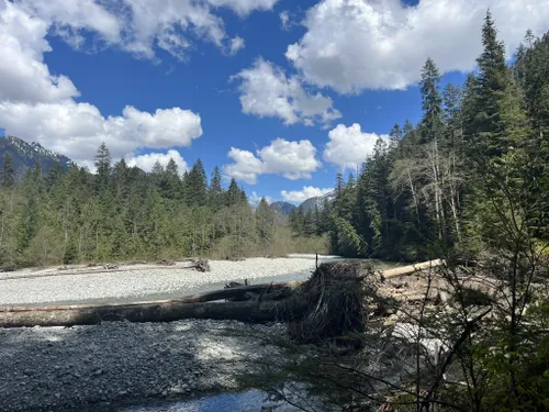 10 Best Hikes and Trails in Golden Ears Provincial Park | AllTrails