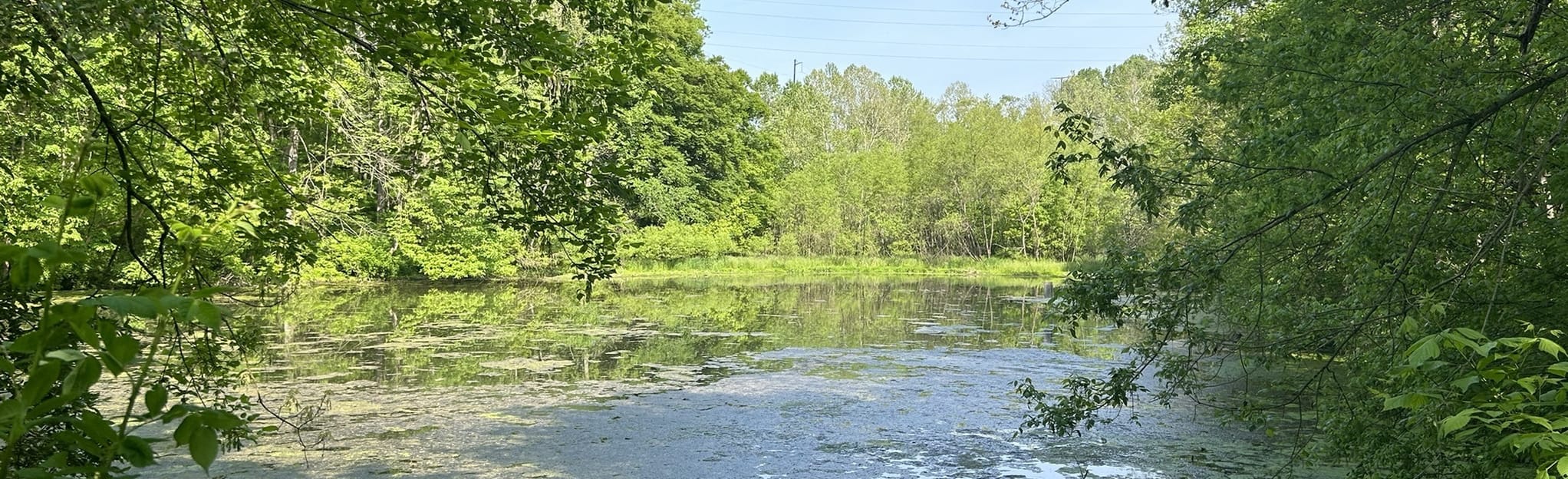 AllTrails White Tail Deer Trail Loop 64 Reviews, Map Pennsylvania