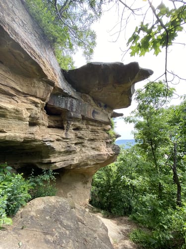 Best Hikes and Trails in Raven Rock State Nature Preserve | AllTrails