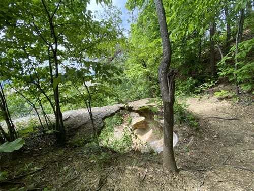 Best Hikes and Trails in Raven Rock State Nature Preserve | AllTrails