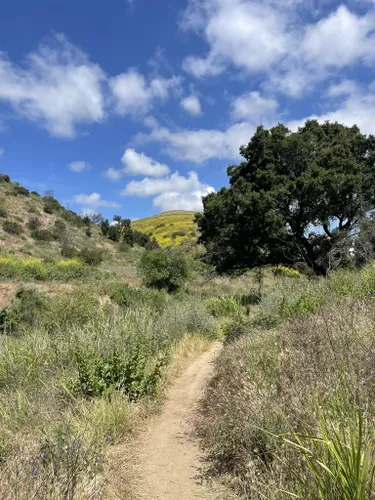 10 Best Kid Friendly Trails in Ventura AllTrails