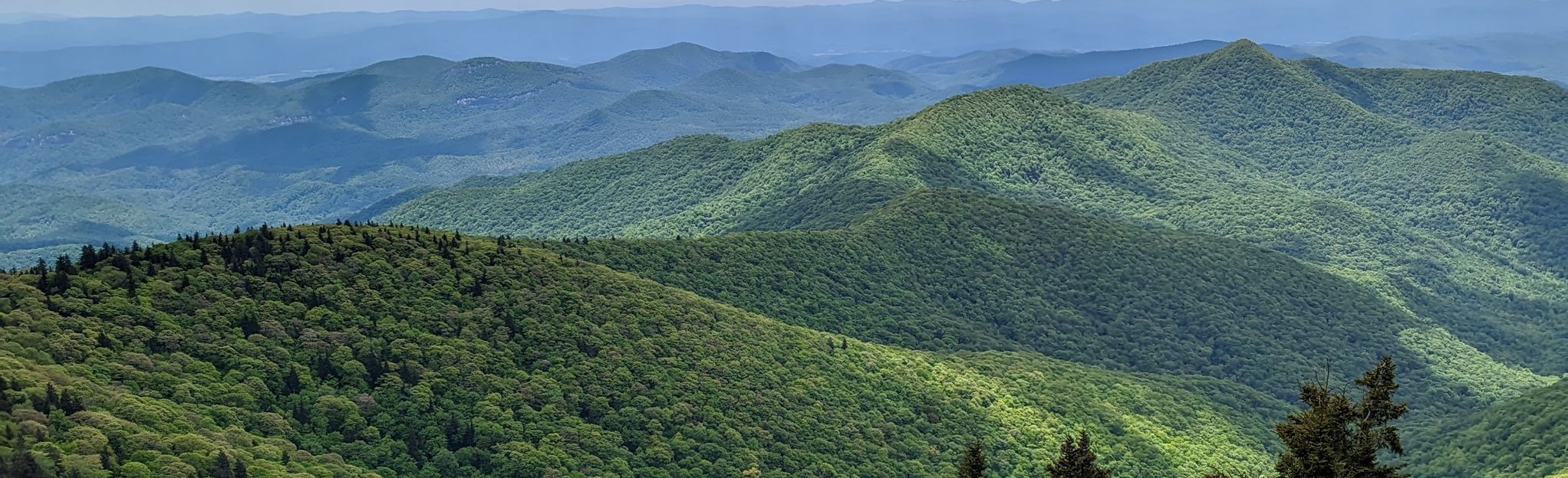 Silvermine Bald from Devil's Courthouse Overlook, North Carolina - 154 ...