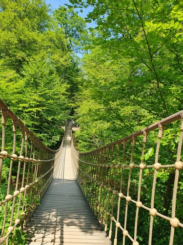 Morgenbachtal Rundweg ab Burg Rheinstein