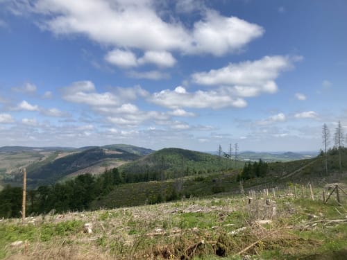 Sauerland-Höhenflug Etappe 7: Altastenberg - Hallenberg