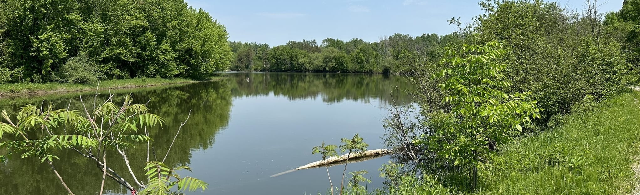 Sentier les Étangs Parc de Plaisance 64 foto Québec, Canada