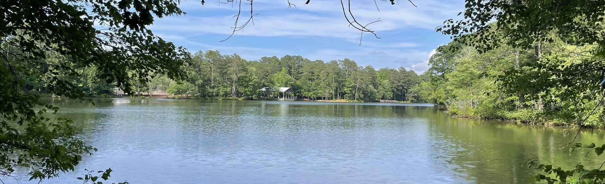 Turner Lake Trail, 156 Reviews, Map AllTrails