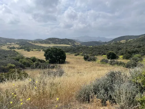 The teepee house - Picture of Paradise Falls, Thousand Oaks - Tripadvisor