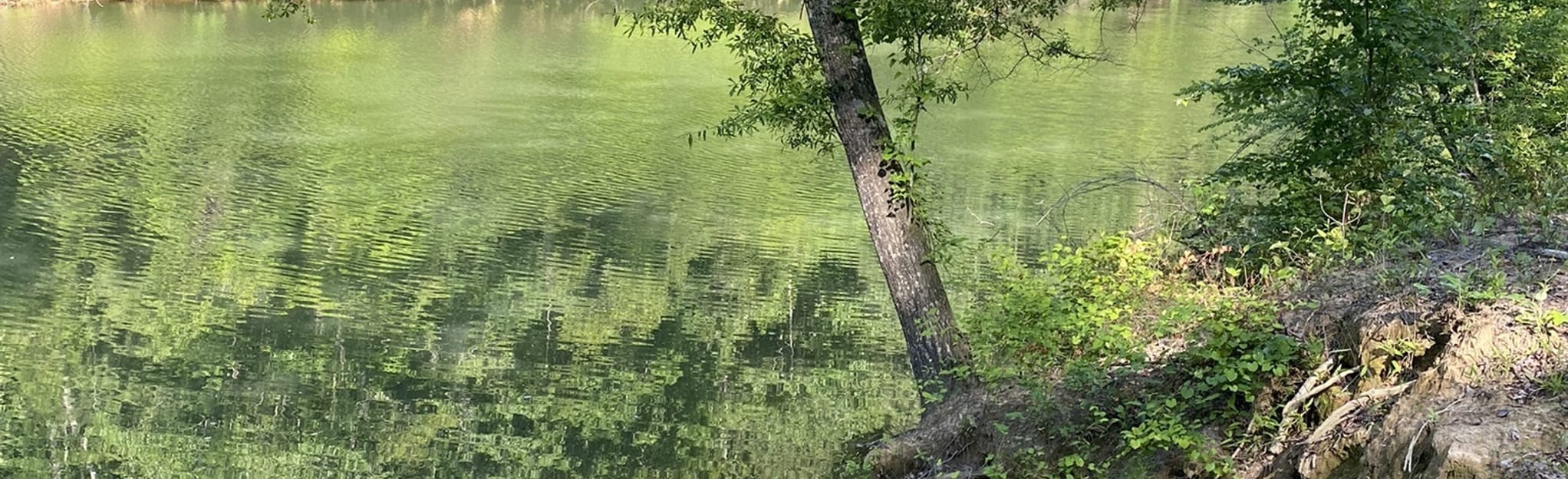 Sipsey River 24 fotos Alabama AllTrails