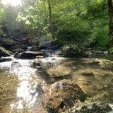 Jones Run Falls Trail, Virginia - 722 Reviews, Map | AllTrails