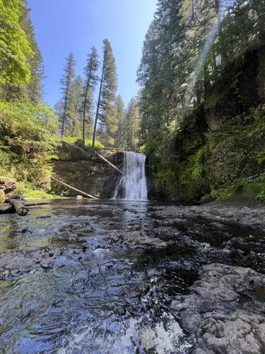 Silver Falls State Park: melhores trilhas curtas