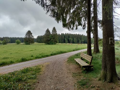 Rennsteig Etappe 7: Spechtsbrunn - Brennersgrün