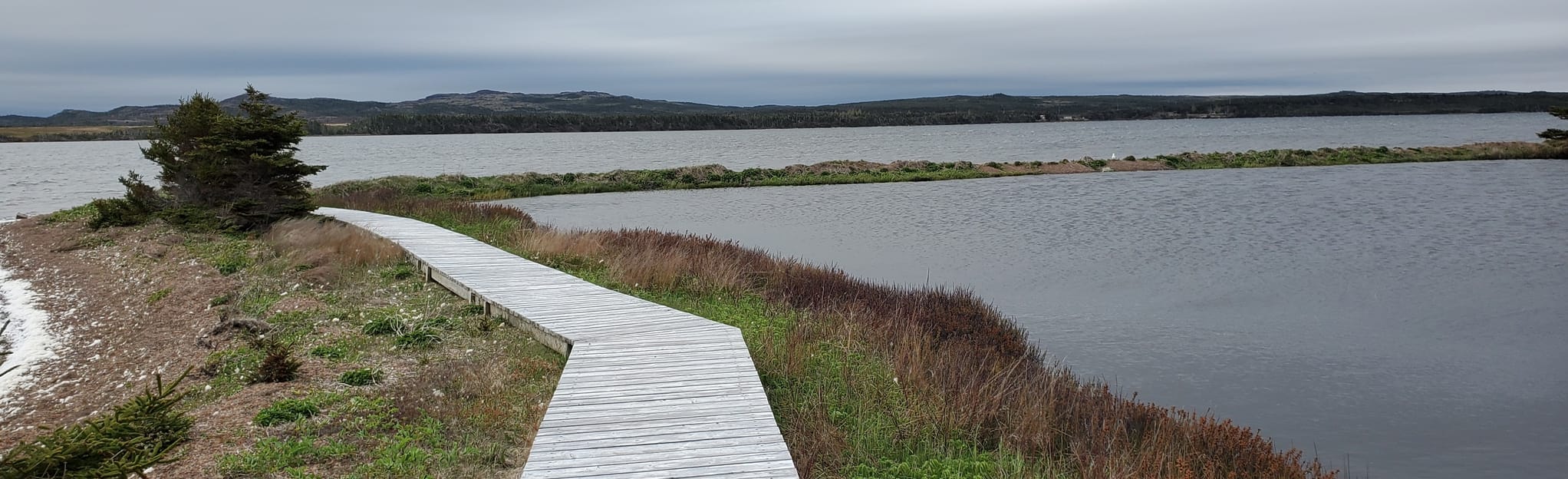 Frenchman's Cove 8 Reviews, Map Newfoundland and Labrador, Canada