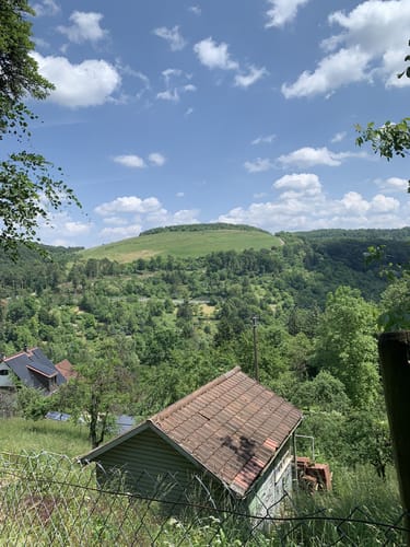 Um die Katharinenlinde
