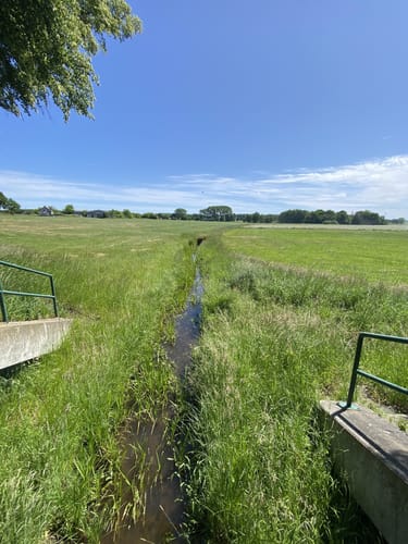 Diesdorf Rundweg
